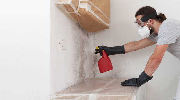 Professional Mold Removal technician working in DeWitt, MI