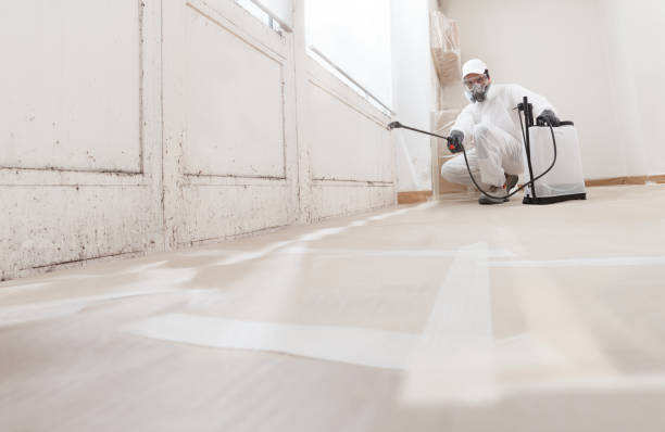 24/7 Emergency Mold Removal experts in DeWitt, MI
