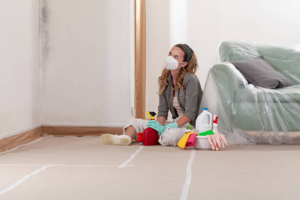 Reliable Mold Remediation contractor in DeWitt, MI by Cheap Mold Removal